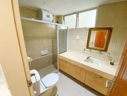Clementi Park (D21), Condominium #606396661